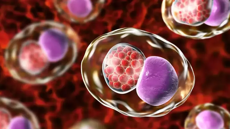 Phương pháp điều trị Chlamydia