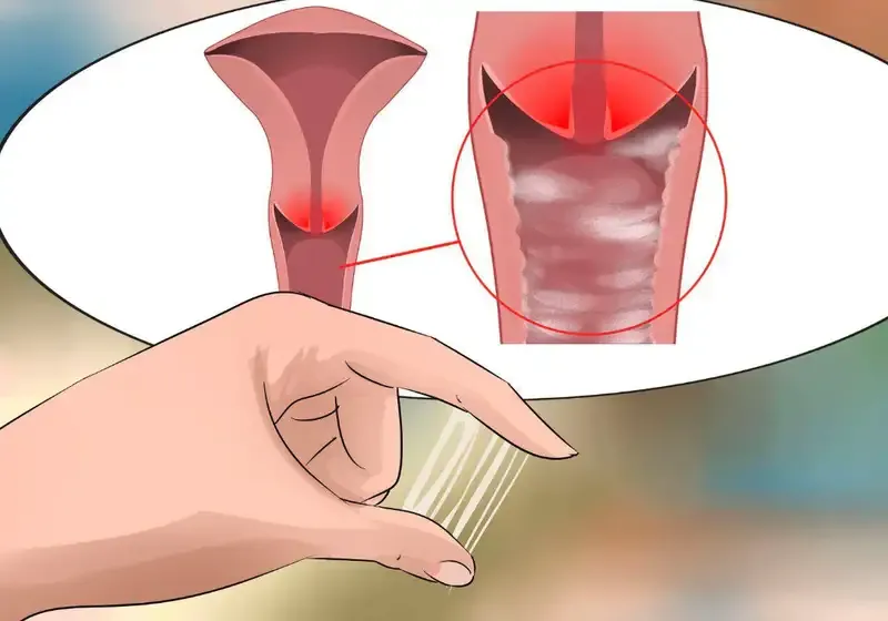 Biểu hiện có thai sau 5 ngày quan hệ 4