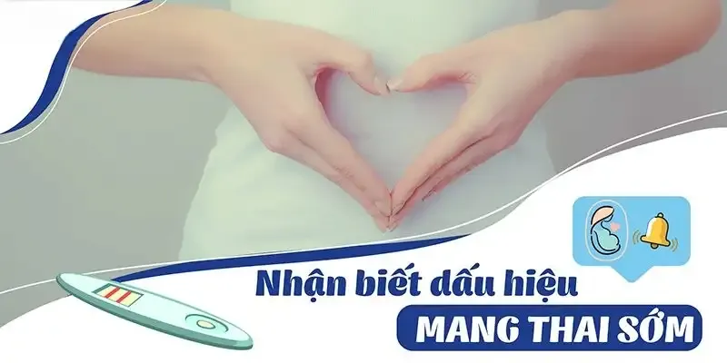 Hướng dẫn sử dụng que thử thai 2