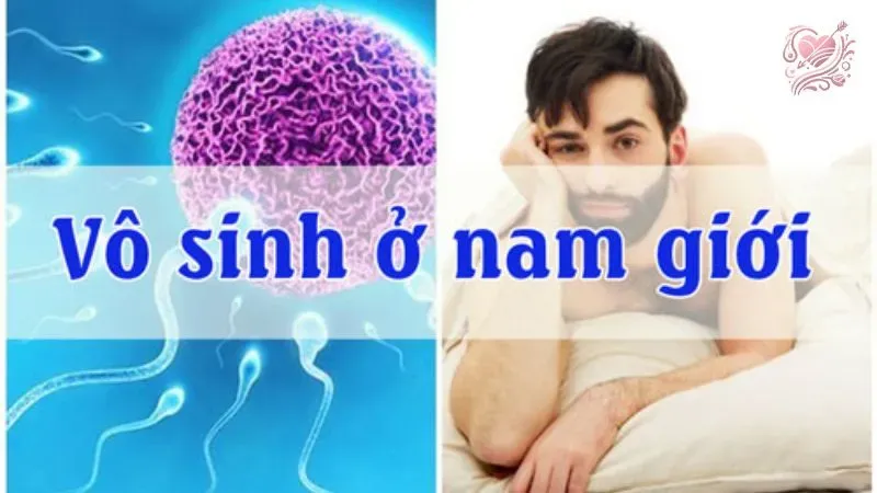 Lựa chọn địa chỉ điều trị vô sinh hiếm muộn