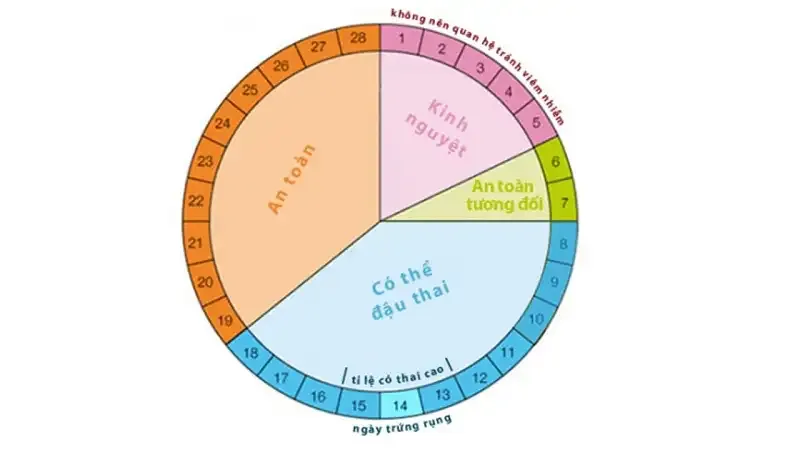 Cách tính thời gian thụ thai 2