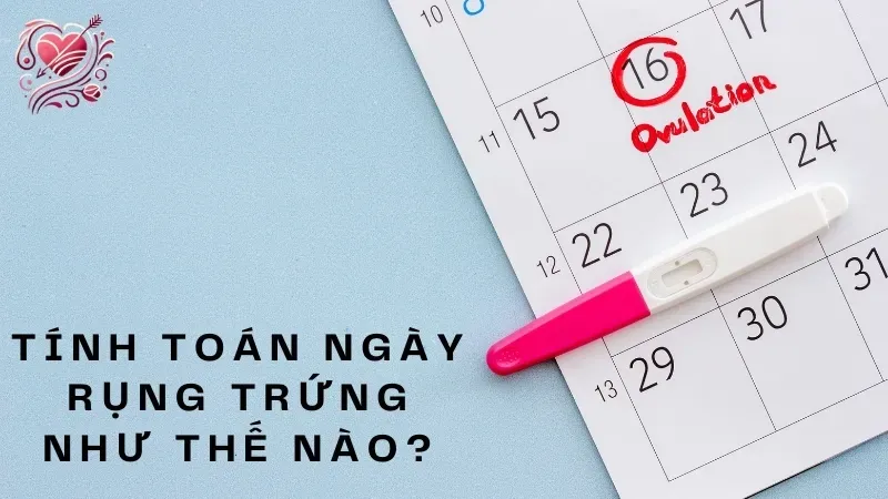 Tính toán ngày rụng trứng như thế nào?