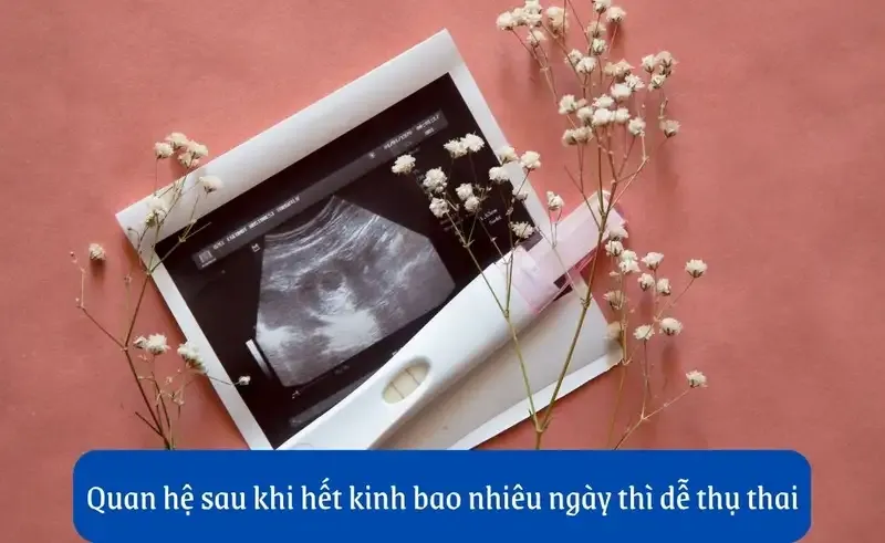 Thời điểm dễ thụ thai 2