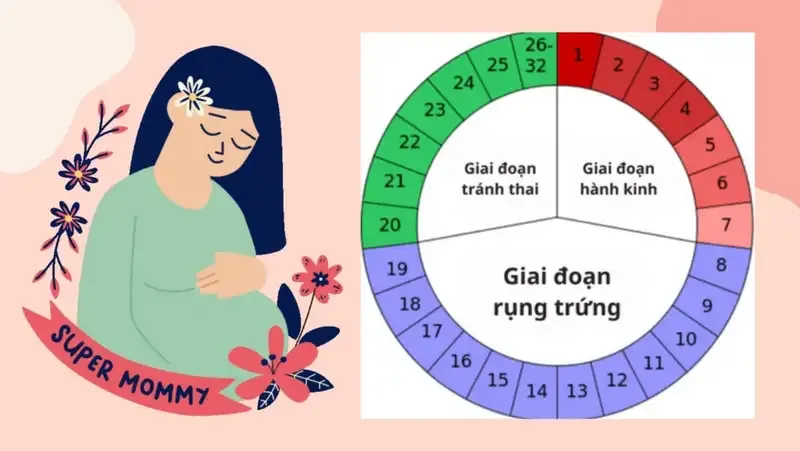 Cách xác định ngày rụng trứng 1