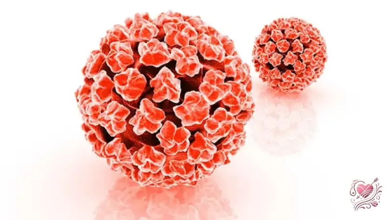Các bệnh do virus HPV gây ra