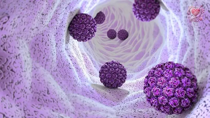 Các chủng virus HPV phổ biến và tính chất lây nhiễm