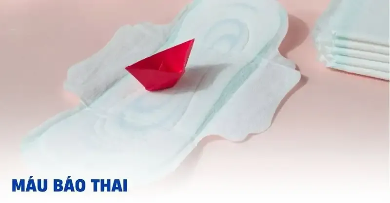 Máu báo thai xuất hiện sau quan hệ mấy ngày? 1