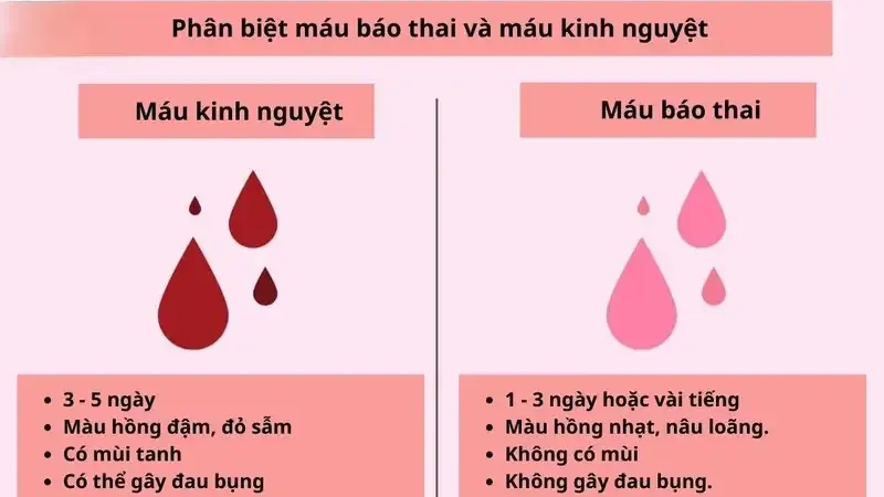 Phân biệt máu báo thai sau quan hệ với máu kinh nguyệt 5