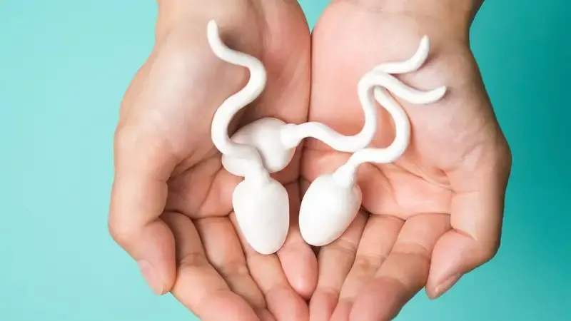 Lưu ý cần tránh khi muốn có thai sau khi quan hệ 4