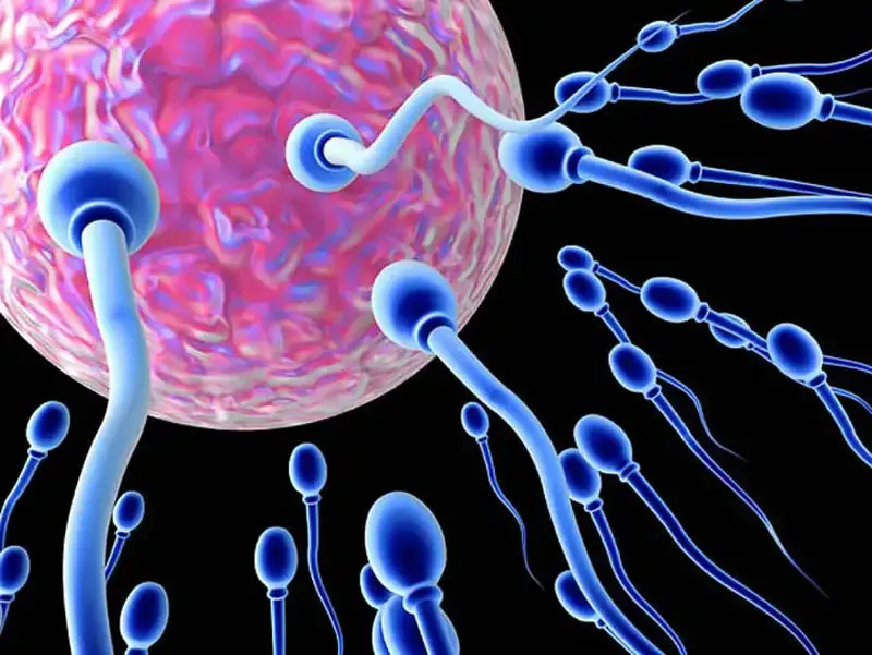 Lưu ý cần tránh khi muốn có thai sau khi quan hệ 5