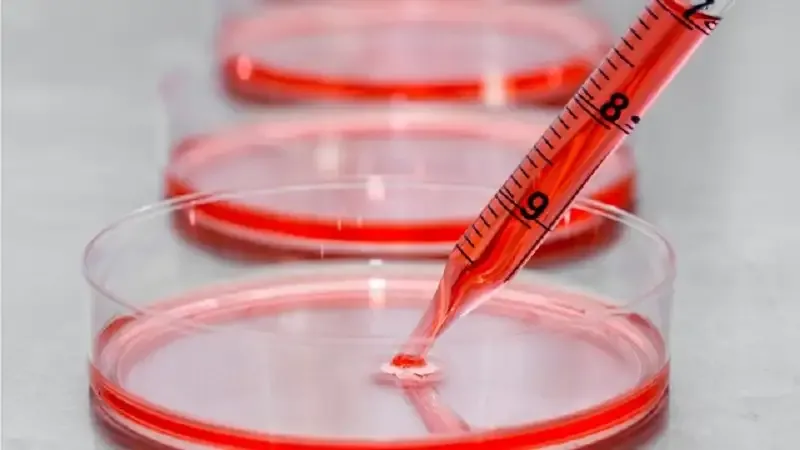 Nhiễm Mycoplasma genitalium có nguy hiểm không? 1