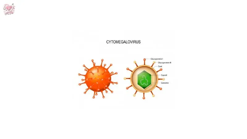 Nguyên nhân gây nhiễm Cytomegalovirus