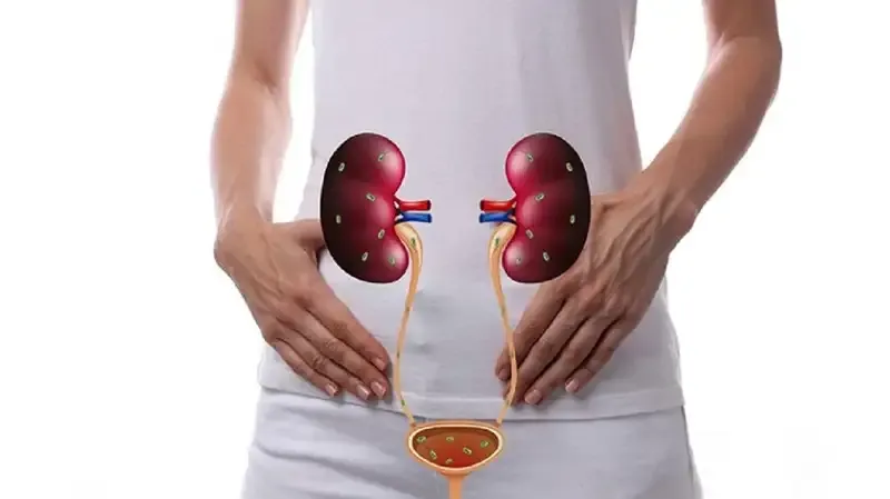 Tìm hiểu về nhiễm trùng đường tiết niệu 1