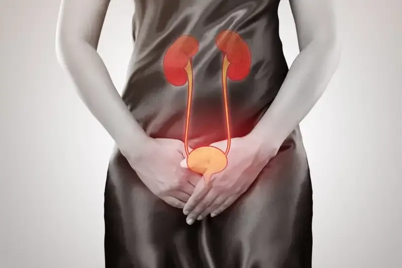 Tìm hiểu về nhiễm trùng đường tiết niệu 2