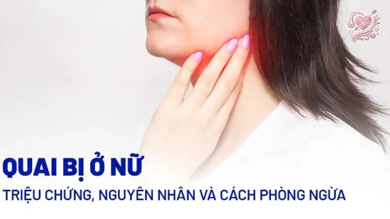 Cách phòng chống bệnh quai bị 