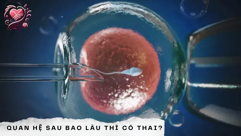 Quan hệ sau bao lâu thì có thai?