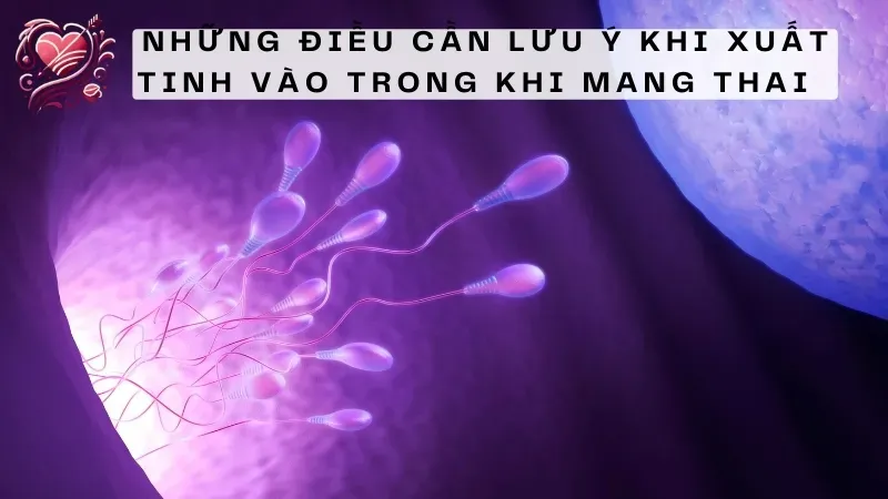 Những điều cần lưu ý khi xuất tinh vào trong khi mang thai  