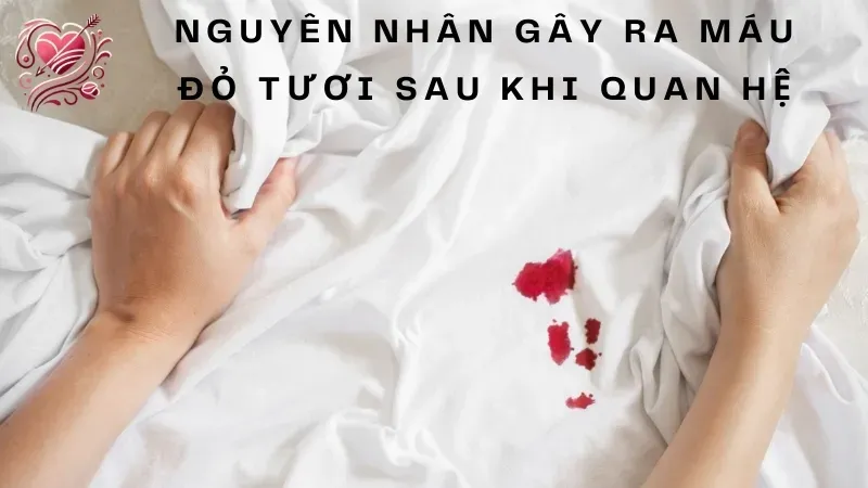 Các nguyên nhân gây ra máu đỏ tươi sau khi quan hệ