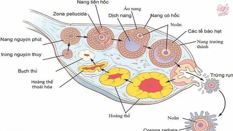 Khi nào nên đi khám bác sĩ?