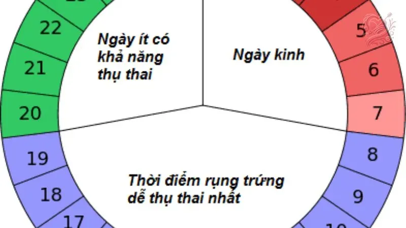 Tần suất quan hệ như thế nào để dễ thụ thai?