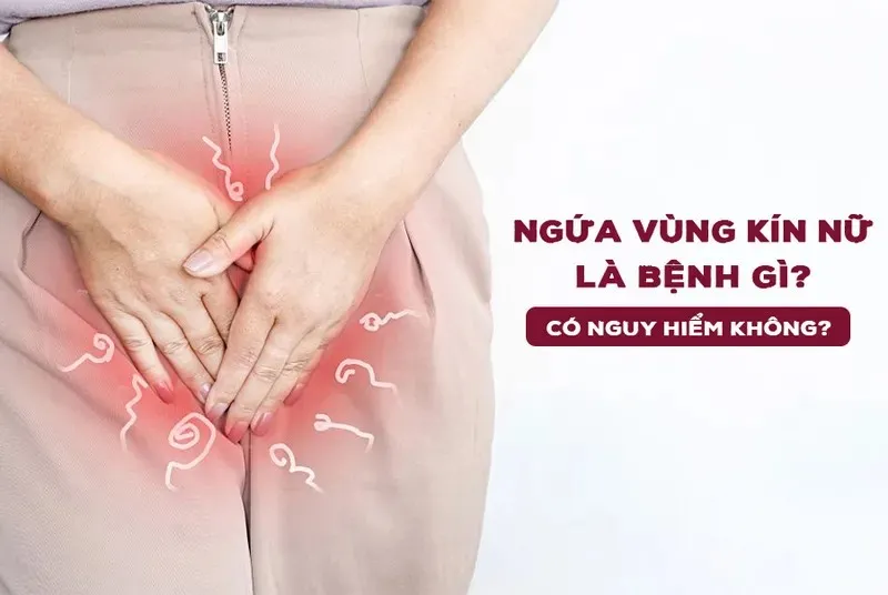 Ngứa vùng kín là gì?