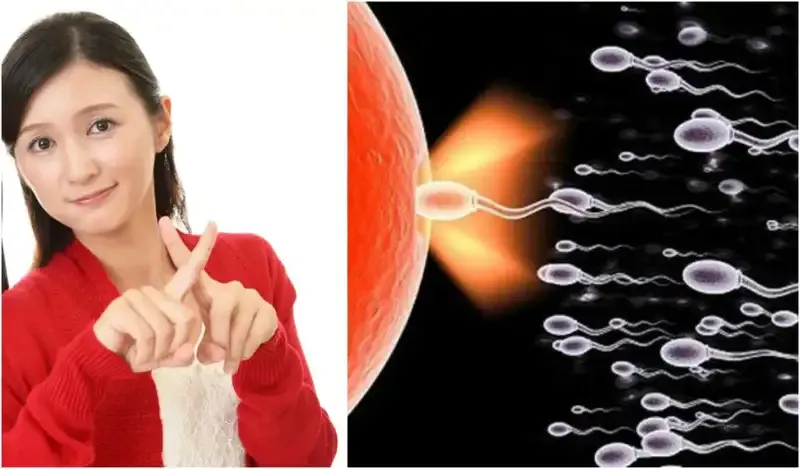 Quan hệ không đeo bao những xuất ra ngoài có thai không? 2