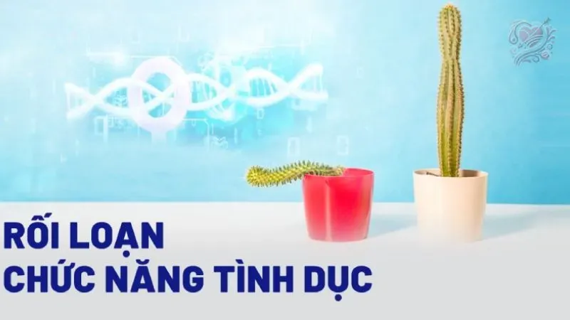 Điều trị rối loạn chức năng tình dục ở nữ giới