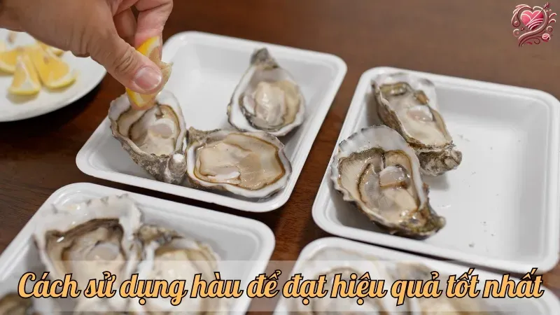 Cách sử dụng hàu để đạt hiệu quả tốt nhất