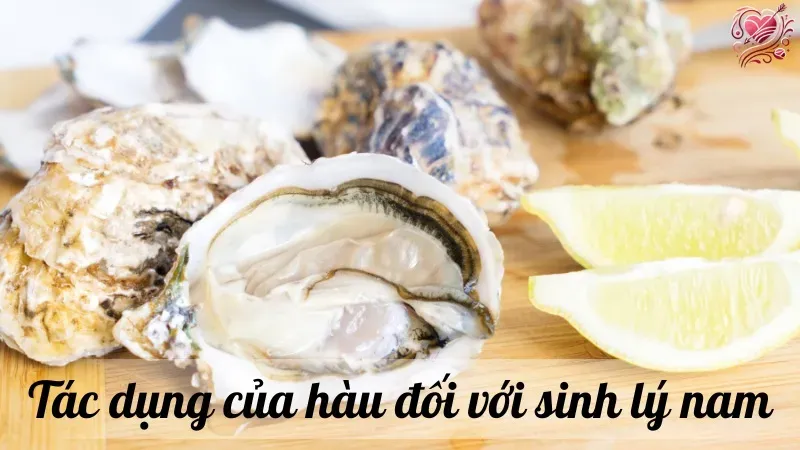 Tác dụng của hàu đối với sinh lý nam
