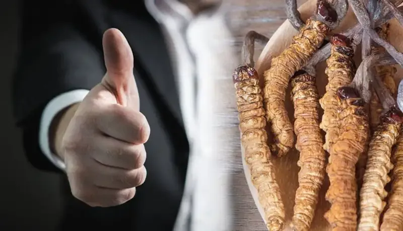 Các loại thuốc tăng cường sinh lý nam 2