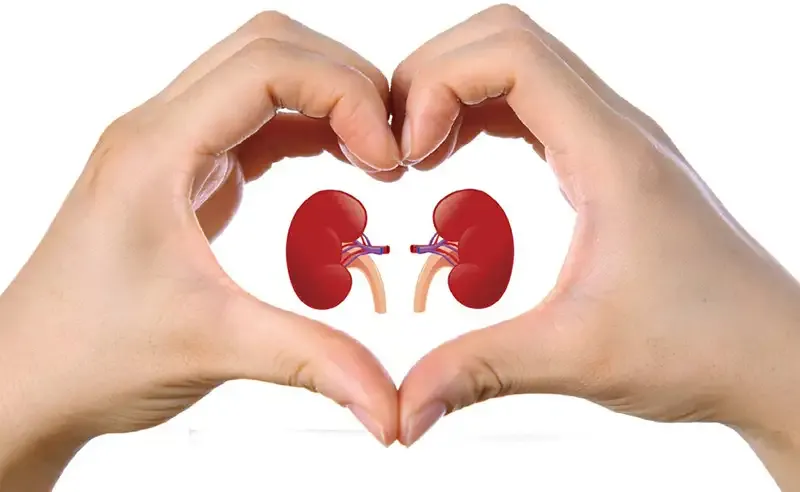 Lợi ích của quan hệ tình dục 3