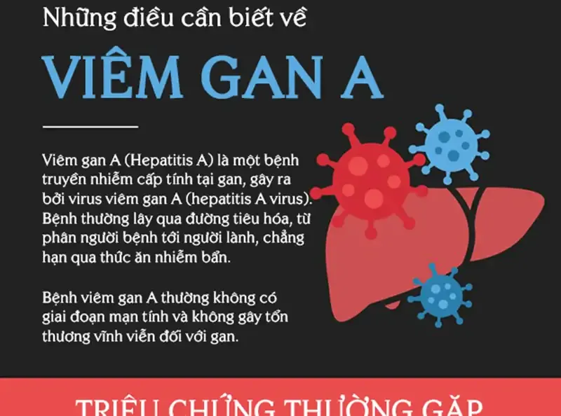 Triệu chứng của bệnh viêm gan A 1