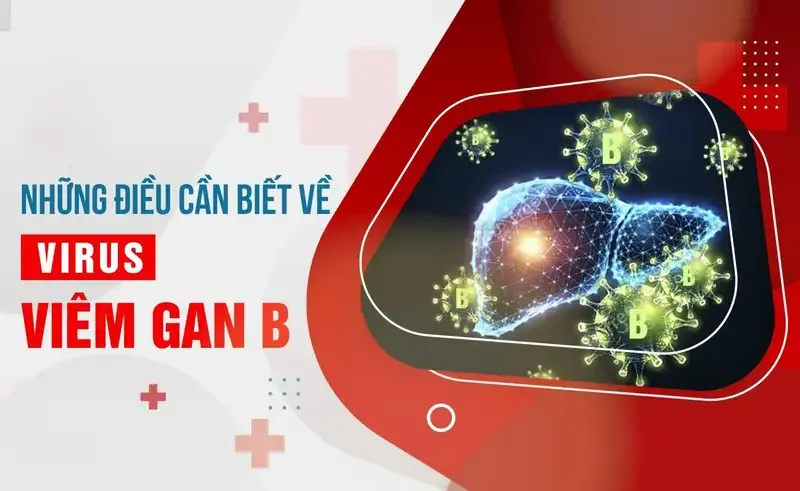 Cách phòng tránh viêm gan B hiệu quả 1