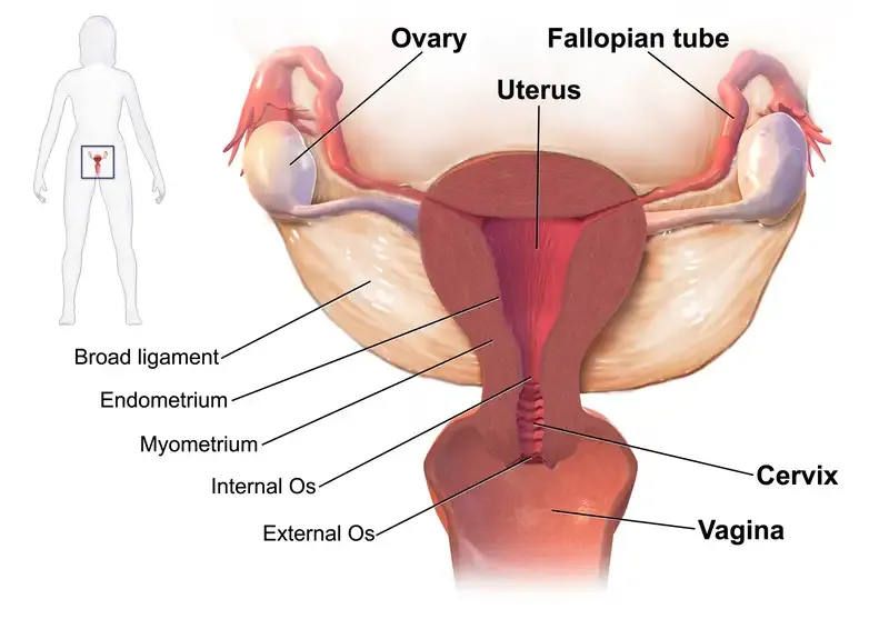 Điều trị bệnh viêm vùng chậu 1