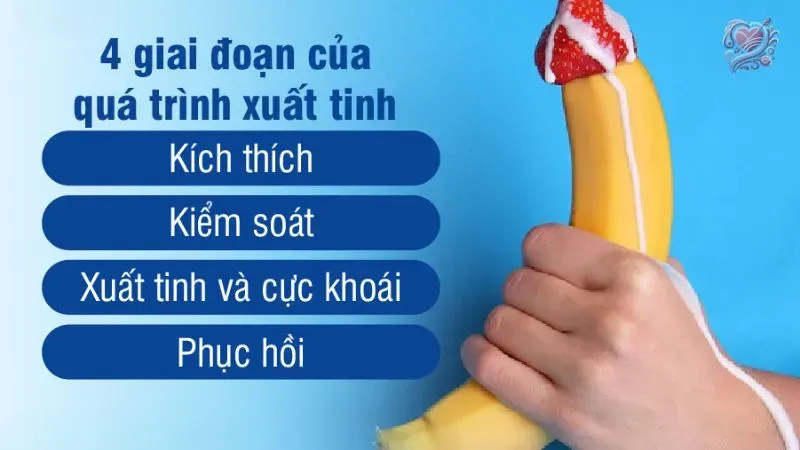 Xuất tinh ở nam giới diễn ra như thế nào?