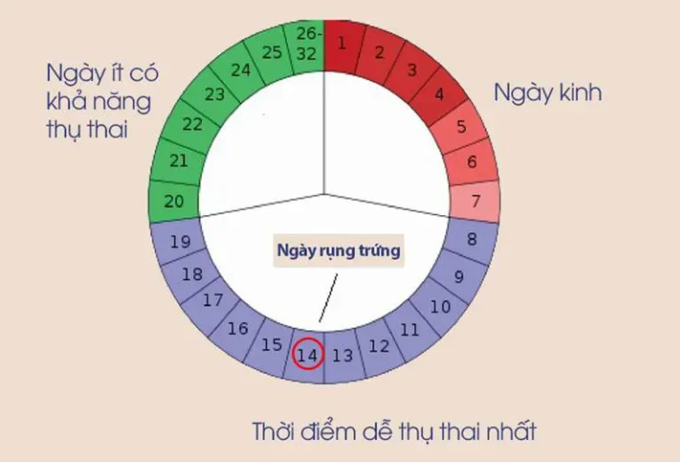 Dấu hiệu nhận biết bạn đã có thai