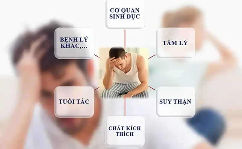 Cách điều trị yếu sinh lý 1