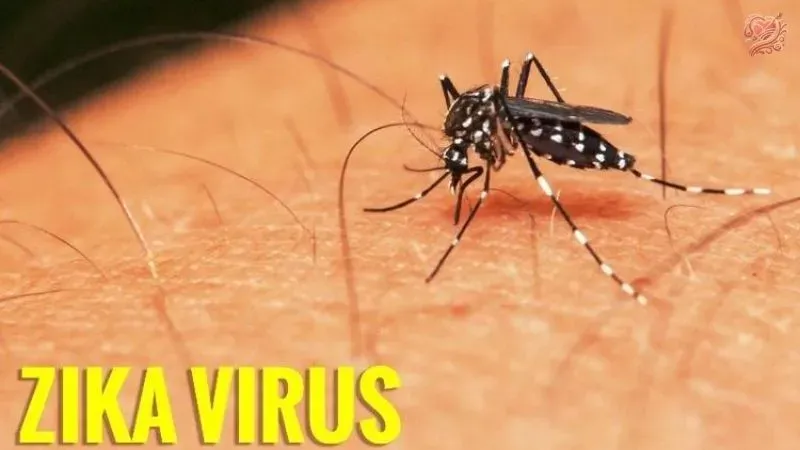 Biến chứng của virus Zika