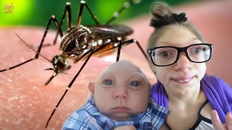 Chẩn đoán bệnh virus Zika