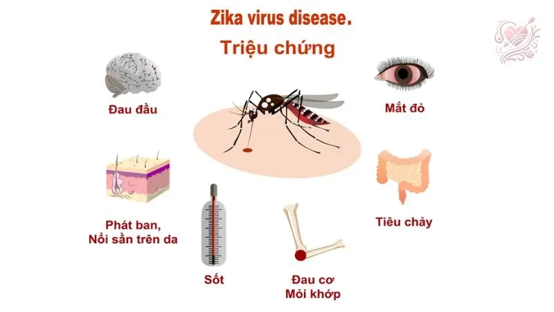 Điều trị bệnh virus Zika
