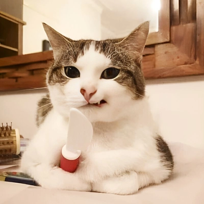 Xem ngay ảnh chế meme hài hước với loạt biểu cảm bá đạo