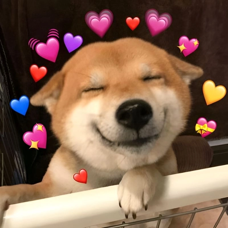 Thưởng thức ảnh chế hài chế ảnh meme hài siêu vui nhộn