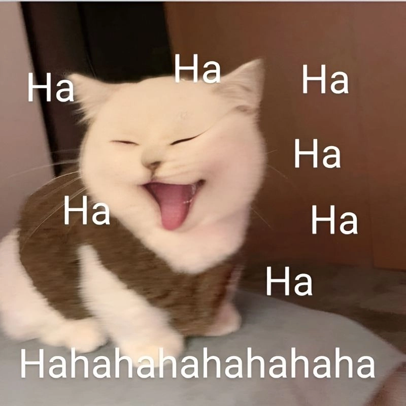 Cười nghiêng ngả với hình ảnh meme hài hước cực bựa