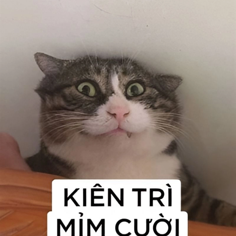 Khám phá meme hài hước mới nhất đang hot trên mạng