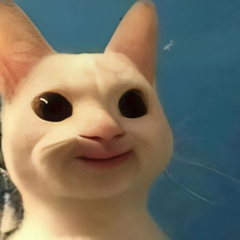 Xem ngay những meme hài hước để có phút giây thư giãn