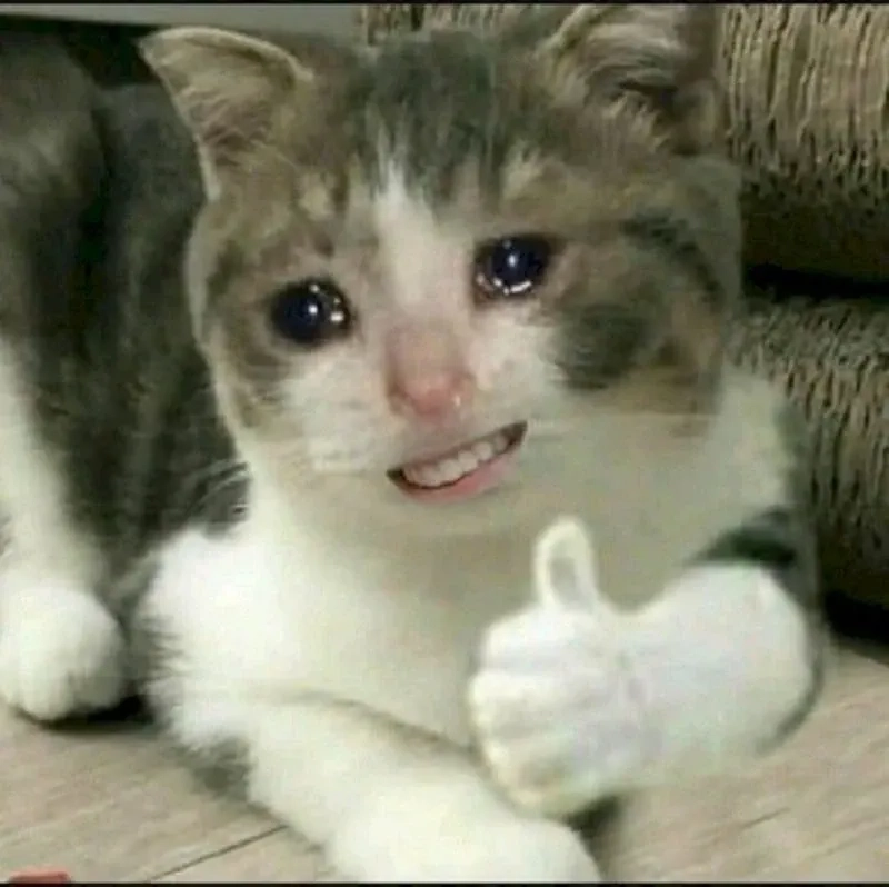 Biểu cảm cực ngầu từ meme mèo cười nhếch mép