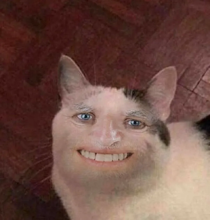 Cười té ghế với há mồm meme mèo cười cực hài