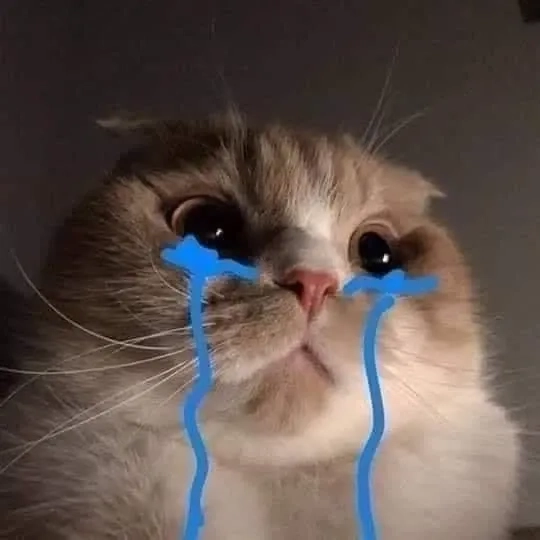 Thương quá trời với mèo khóc meme đầy cảm xúc