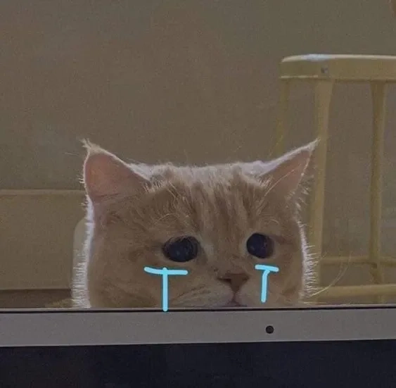 Nhìn vô tri meme mèo khóc cute mà không nhịn được cười