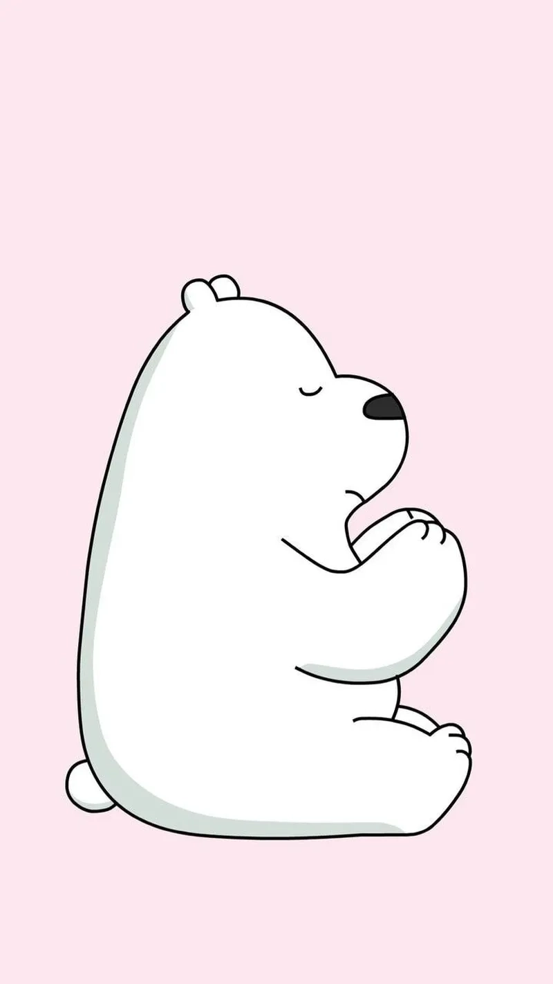 Bộ sưu tập ảnh con gấu trắng cute giúp bạn thỏa sức ngắm nhìn